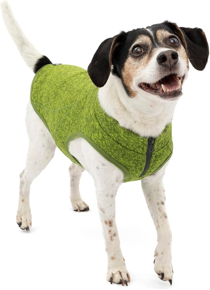 Kurgo Core Dog Sweater, Knit Dog Sweater With Fleece Lining, Cold Weather Pet Jacket, Zipper Opening for Harness, Adjustable Neck, Year-Round Sweater for Small Dogs (Green, X-Small)