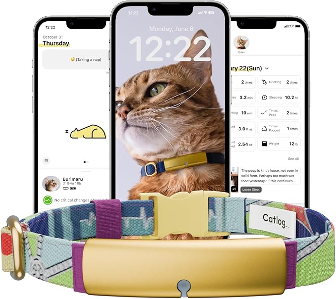 Health Tracker for Cats - Smart Cat Collar with Safety Breakaway Buckle for Indoor Cats, Wellness Alerts, Real-time Monitoring (Pop (Mosaic),M)