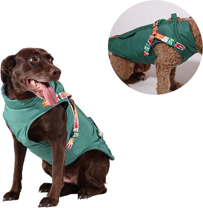 Generic Pawlook Dog Raincoat with Chest Leash and Collar, Reusable Waterproof Pet Coat for Small Dogs, Medium Dogs, Large Dogs (Green, Large)