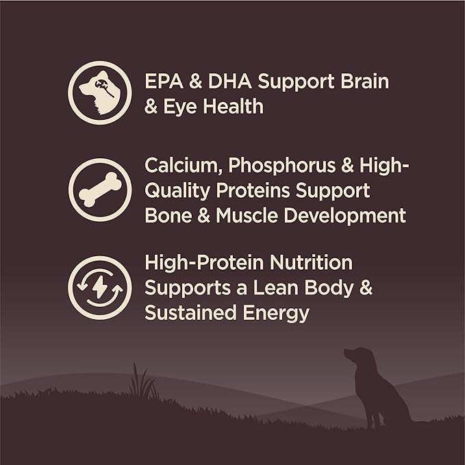 Wellness CORE Puppy Dry Dog Food, Grain-Free, High Protein, Natural, Chicken & Turkey Recipe, (4-Pound Bag)