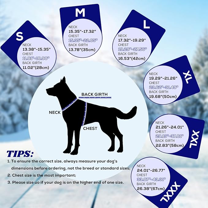 EMUST Winter Dog Jacket, Windproof Dog Apparel for Cold Weather, Reflective Coats for Dogs, Warm Puppy Jacket for Cold Winter, Blue S