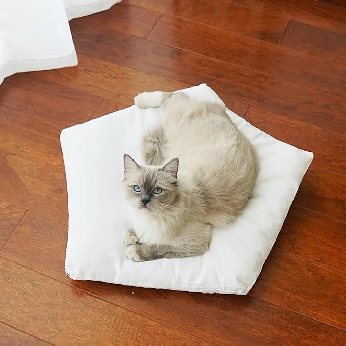 Cat Teepee Tent Bed,Outdoor Indoor Dog House,Portable Washable Pet Tent for Small Dogs with Cushion,Inside Pet Teepee for Small Medium Animals (White Lace, L)