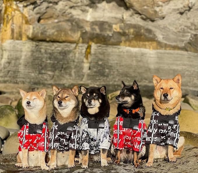 ChoChoCho NASA Dog Raincoats - Reflective Rain Jacket, Water Proof, Stylish Streetwear Outfit for Dogs - Cat Puppy Sizes S,M,L