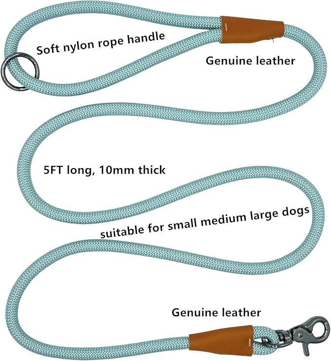 5FT Nylon Rope Dog Leash, Short Leash for Training Small Medium Large Dogs (Harbor Gray, 5FTx10MM)