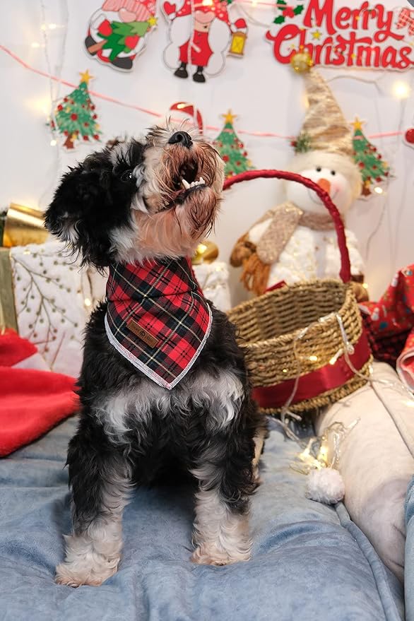 Lionet Paws Christmas Dog Bandana Washable Cotton Handkerchief Scarf Triangle Bandana for Small Medium Large Dogs Girl Boy