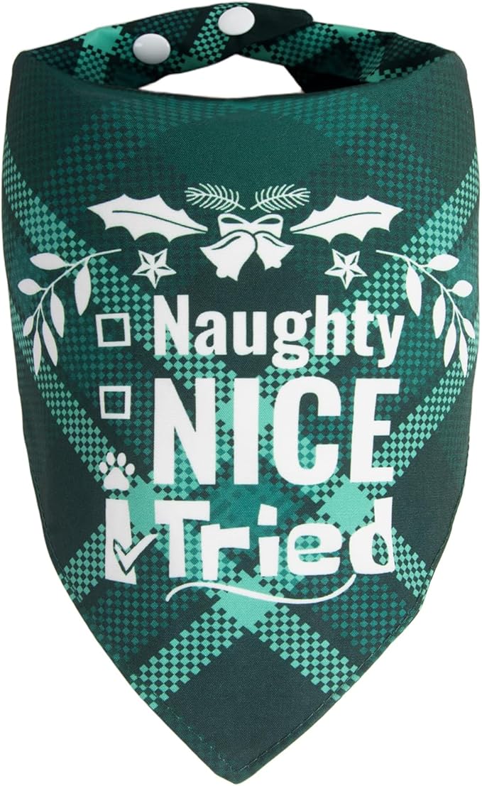 Christmas Dog Bandanas - Naughty Nice I Tried, Pets Funny Holiday Costume Gift Xmas Stocking Stuffers, Green Plaid, Small & Medium Breed, 5-25lbs
