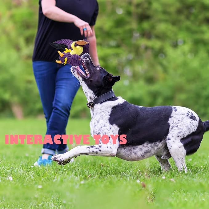 GOOLA Purple Dragon Dog Toy, Plush Squeaky Toy for Large Breeds, Interactive Fun with 5 Squeakers, Chew Toys for Puppies & Adult Dogs