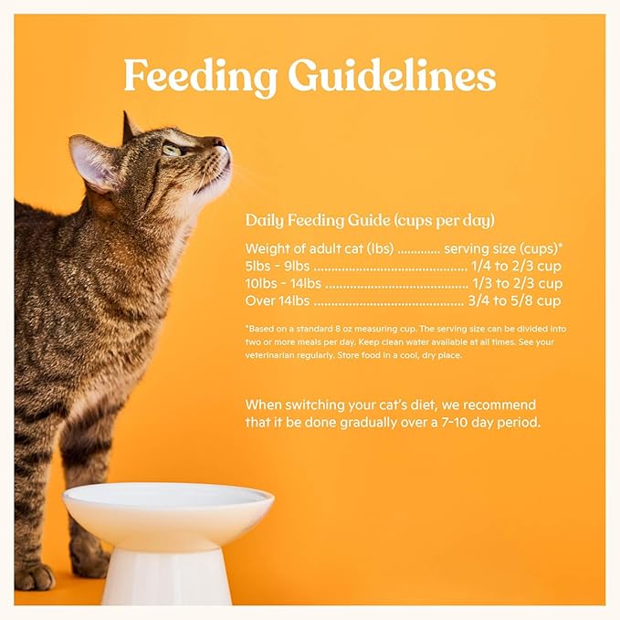 Made by Nacho Dry Cat Kibble 10lb Bag, High Protein Premium Cat Food with Freeze Dried Pieces, Sustainably-Caught Salmon, Whitefish & Pumpkin, Limited Ingredients, Single Bag