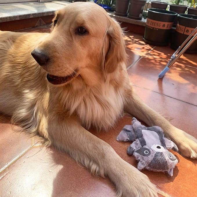 Jalousie Extra-Large Dog Squeaky Toy Interactive Rope Plush Toy for Small Medium Large Breeds Durable Dog Chew Toy (Otter)