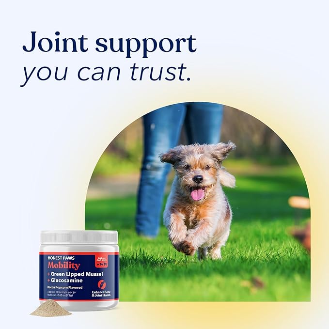 Honest Paws Glucosamine for Dogs – Joint & Mobility Supplement Powder with Green Lipped Mussel, Fish Oil & MSM – Supports Hip & Joint Health, Support Stiffness, Dog Supplies