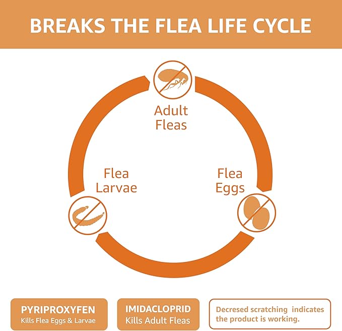 Amazon Basics Topical Flea Treatment for Medium Cats (5-9 Pounds), 6 Count (Previously Solimo)