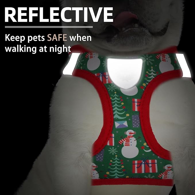 PUPTECK Adjustable Dog Harness Collar and Leash Set Step in No Pull Pet Harness for Small Medium Dogs Puppy and Cats Outdoor Walking Running, Christmas, XXS