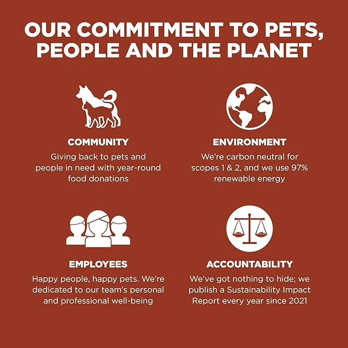 Go! Solutions Skin + Coat Care, Dry Dog Food, Large Breed Adult Salmon Recipe with Grains, 12 lb Bag