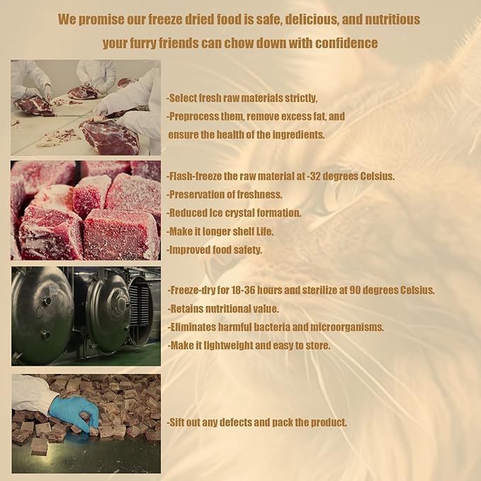 RA NOVA Freeze Dried Cat Treats - 100% Salmon Grain Free Raw - Natural Balance Limited Ingredient High Protein Cat Snacks 115g/4.1oz - Picky Eater Challenger