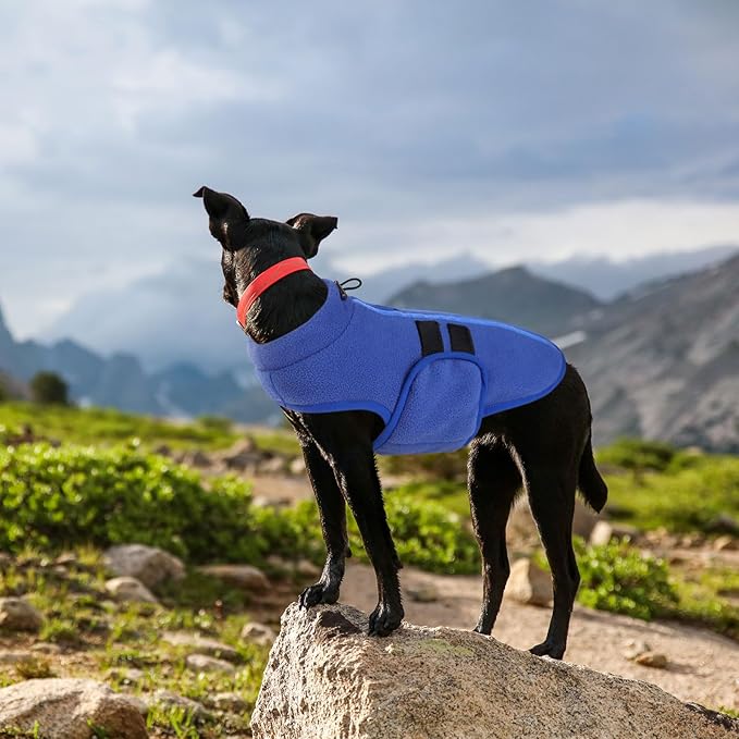 Queenmore Soft Fleece Dog Jacket, Warm Winter Coats with Leash Hole, Dachshund Sweaters for Small Dogs Cats Boy or Girl (Blue, L)