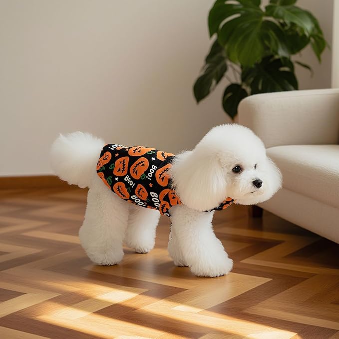 EXPAWLORER Cat Halloween Sweater - Sweaters for Cats Only Soft Warm Pet Clothes, Fall and Winter Pumpkin Coat Pullover Design, Fleece Sweatshirt Clothing Also for Puppy Small Dogs, Large