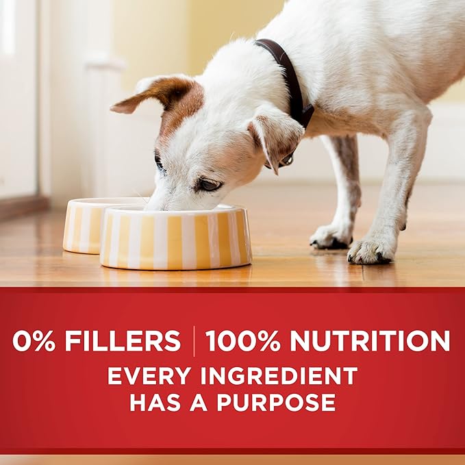 Purina ONE Natural Wet Dog Food Gravy, Tender Cuts in Gravy Beef and Barley Entrée - 13 Ounce (Pack of 12)