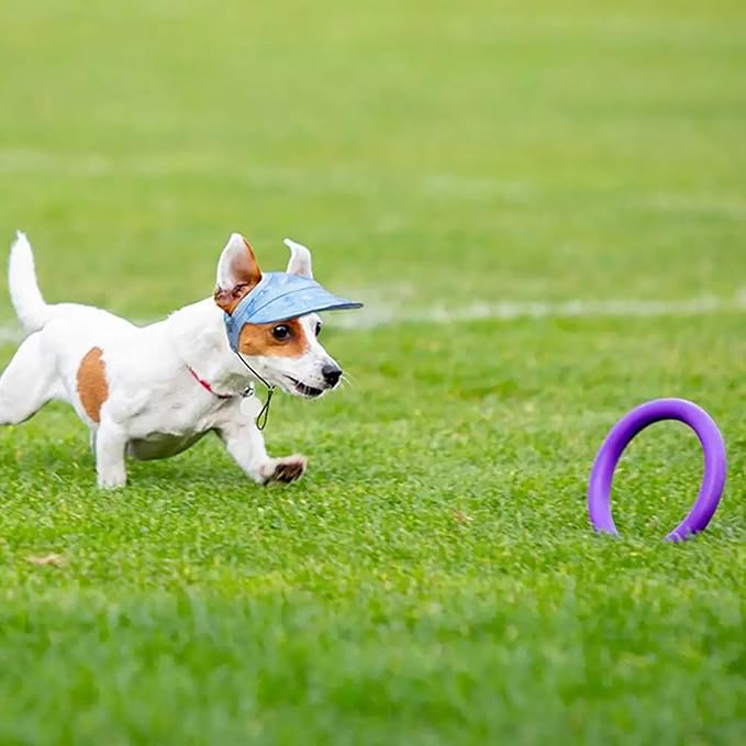 Outdoor Sun Protection Hood for Dogs, Adjustable Dog Sun Protection Baseball Hat Cap, Pet Baseball Hat Cap Visor Sunbonnet Outfit with Ear Holes for Dogs (Purple, Small)