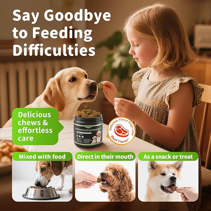 Dog Liver Support Chews - with Milk Thistle (Silybum), Same & NAC - Liver Supplement for Metabolic - Detox - Gut & Immune Health - Beef Flavor, 90 Soft Chews