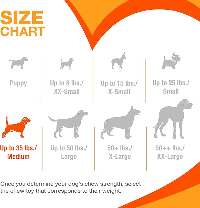 Nylabone Original Bone Power Chew Toy for Dogs, Durable & Tough Dog Toys for Aggressive Chewers, Chicken Flavor, Medium - Up to 35 lbs, 1 Count