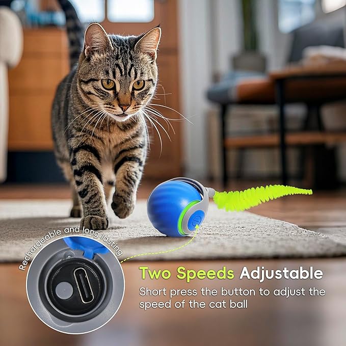 Interactive Cat Toy 2.0, Automatic Moving Cat Toys for Indoor Cats, Electric Rolling Pet Ball with Tail, Two Speed Adjustment, Pet Game Toy (Blue)