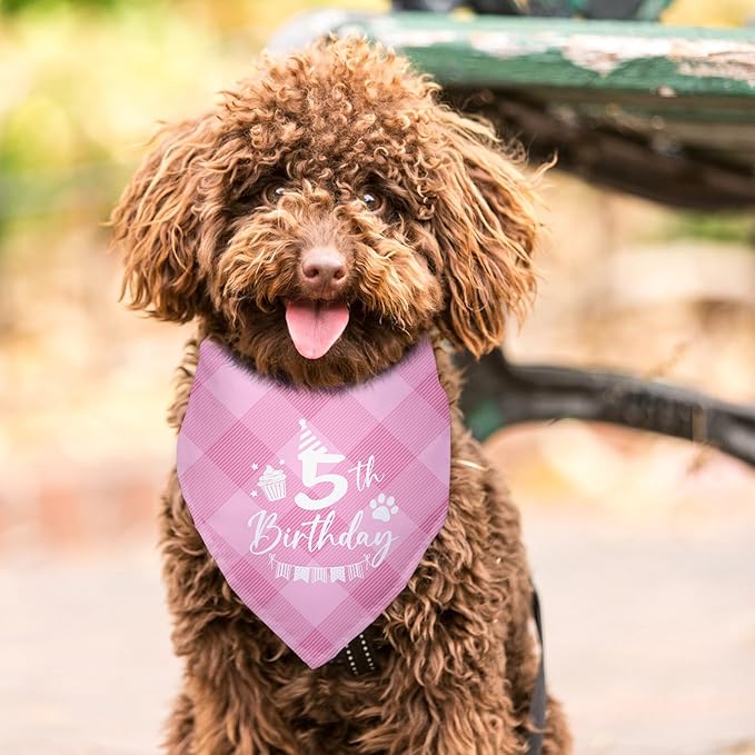 Dog Birthday Bandana 5th Birthday Bandana Plaid Pink Dog Bandana Pet Lover Gifts Pet Puppy 5th Birthday Party Decorationg