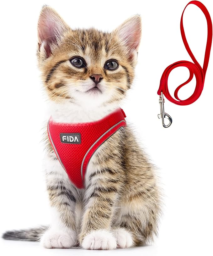 Fida Comfy Dog Harness with Leash, Cat Vest Harness Escape Proof, Breathable Lightweight Soft Mesh, Adjustable Reflective Step-in Harness for Puppy Toy Breeds & Extra-Small Pet (XXS, Red)