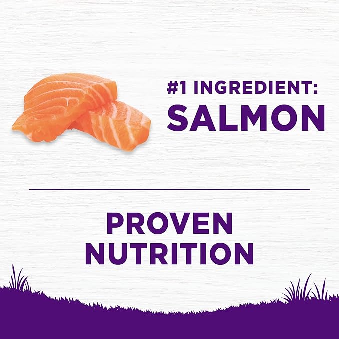 Wellness Complete Health Sensitive Skin & Stomach Dry Dog Food, Wholesome Grains, Natural, Salmon & Rice Recipe, (24-Pound Bag)