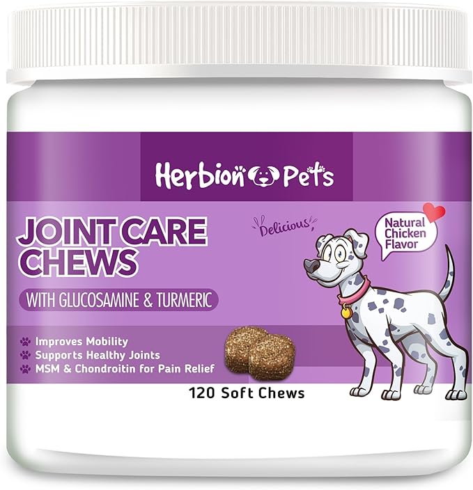 HERBION Pets Joint Care Chews with Glucosamine & Turmeric, 120 Soft Chews, MSM & Chondroitin for Pain Relief, Improves Mobility, Supports Healthy Joints, Made in USA, for Dogs 12 Weeks+, Pack of 1
