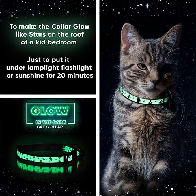 Pawtitas Glow in The Dark Cat Collar with Breakaway Safety Buckle & Bell Adjustable Kitten Collar, Set of 2 GID Teal/Black