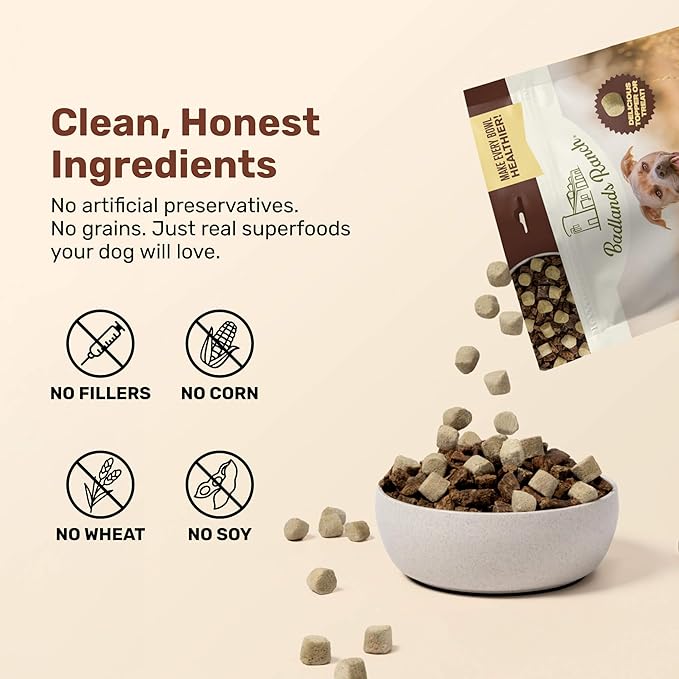 BADLANDS RANCH Superfood Nuggets – Freeze-Dried Raw Dog Treat & Food Topper, Nutrient-Dense Duck & Kale Formula, High Protein, No Artificial Additives, 8oz Bags (4-Pack Bundle)