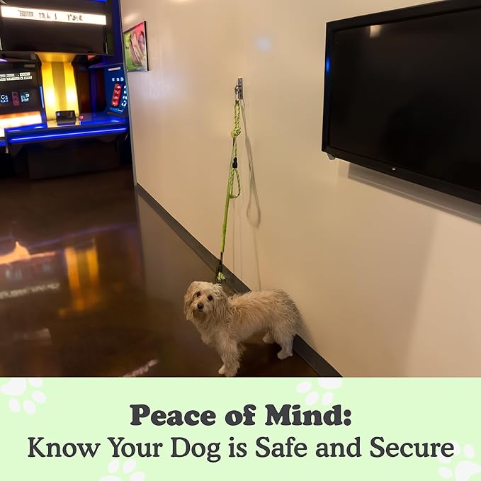 Canine Hitch- Secure Dog Leash Parking Wall Slim Hook with Clip 6 Pack - Tie Out Stainless Steel & ABS Mounting Plate for Strength - Practical Lead Management for Home & Business