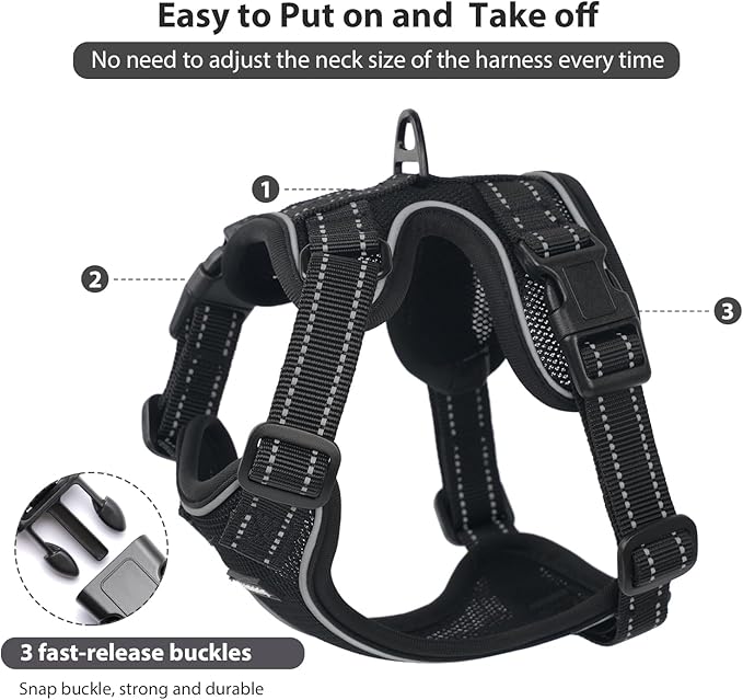 Rttochfy Cat Harness and Leash Set, Adjustable and Reflective Cat Vest, Escape Proof Kitten Harness, Easy to Put on with 3 Buckles for Cats Walking and Traveling (Black, M)