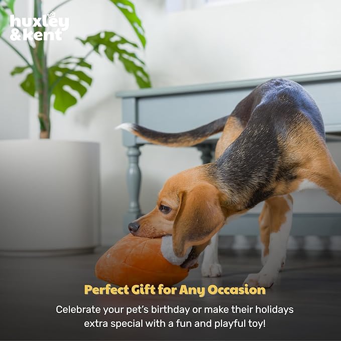 Huxley & Kent Funny Dog Toy w/Squeaker – Fall Power Plush Squeaky Dog Toys for Small, Medium & Large Dogs – Soft Stuffed Animal for Indoor Play & Fetch - Punkin Pie, Small