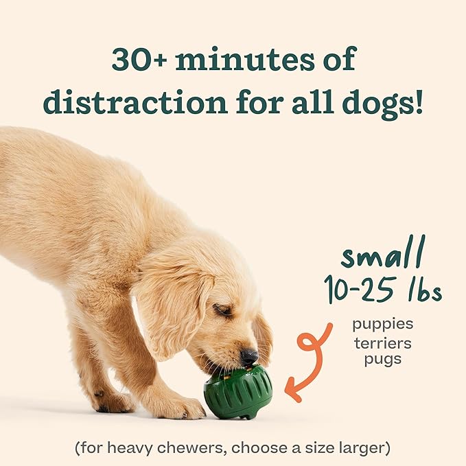 WOOF Pupsicle and Treat Tray - Long-Lasting Interactive Dog Toys and Silicone Dog Treat Mold - Keep Your Pup Busy - Easy to Clean - Dog Toys for Small Dogs 10-25 lbs