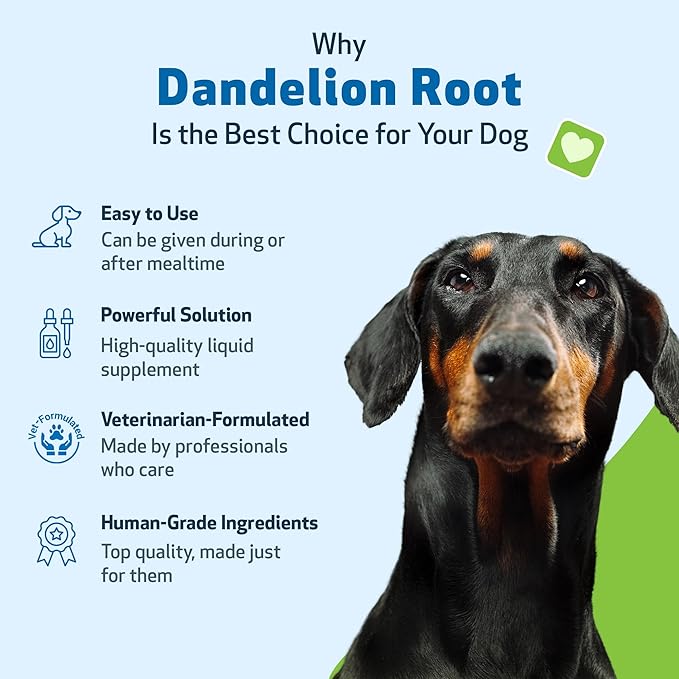 Pet Wellbeing Dandelion Root for Dogs - Liver & Heart Health, Digestive Function, Blood Sugar Support, Certified Organic - Veterinarian-Formulated Herbal Supplement 2 oz (59 ml)