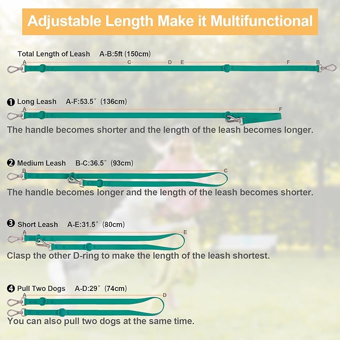 Wisedog Waterproof Dog Leash – 5ft/6ft Adjustable with 2 Hooks & Traffic Handle, Easy to Clean Double Clip Leash for Small, Medium, Large Dogs (Emerald Green,S)