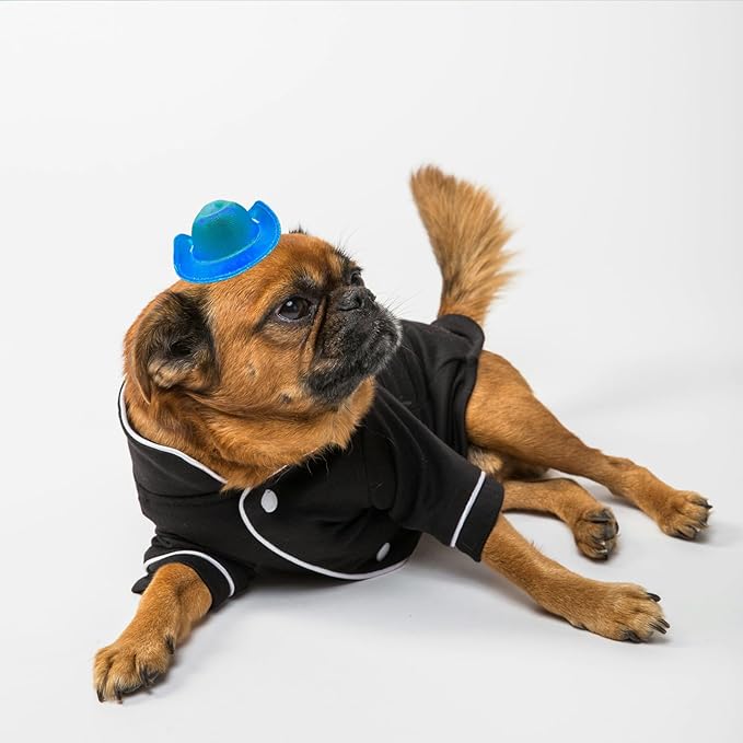 Dog Cowboy Hat Cat Cowboy Hat Pet Cowboy Costume Mini Cowboy Hat for Dogs Cat Holiday Halloween Pet Party Decoration (Blue-style2, Small)