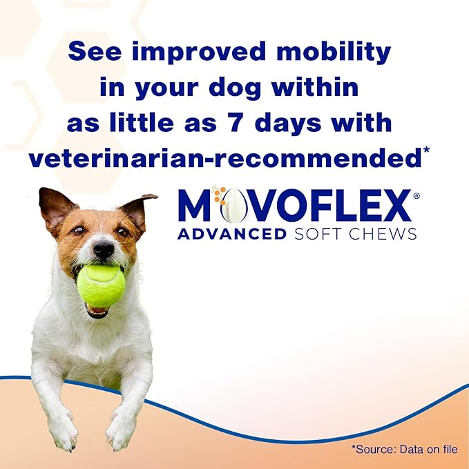MOVOFLEX Advanced Soft Chews Hip and Joint Support Supplement for Small Dogs 120 Count by Virbac