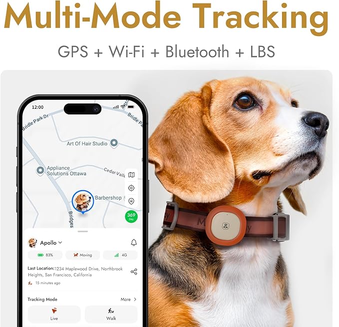 Automatic Dog Feeder for Large Dogs, 14L Capacity, 2.4G WiFi App Control, Dual Power Supply, Stainless Steel Bowl, and Molly&Cody GPS + Bluetooth Pet Tracker for Cats & Dogs – Real-Time Tracking