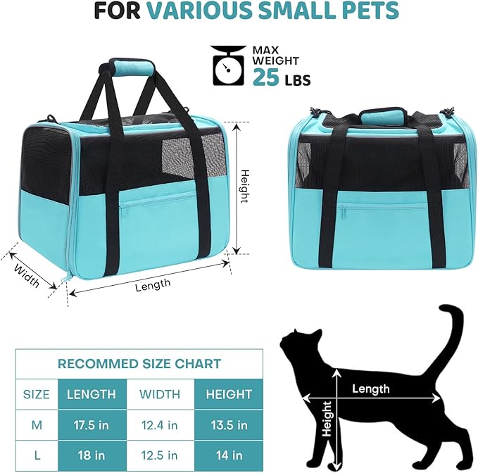 JUNGYOUN Premium Cat Carrier - Pet Carrier for Cat & Small Dogs up to 15lbs - Airline Approved Travel Dog Carrier with Anti-Escape Zippers, Collapsible Travel Bowl & Padded Strap