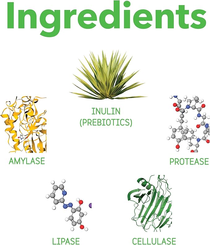 InClover Optagest Natural Digestive Aid, Organic Prebiotics & Enzymes Supplement Powder for Dogs and Cats - Promotes Healthy Stools, Less Gas, Optimal Nutrient Absorption, Intestinal Balance, 3.5oz