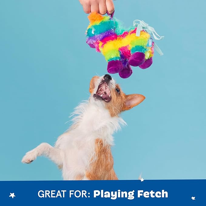 Barkbox Full O’ Fluff Piñata Plush Dog Toy – Squeaky and Crinkle Plush Dog Toy Packed with Fluff for Chewers and Playful Puppies – Small Dog