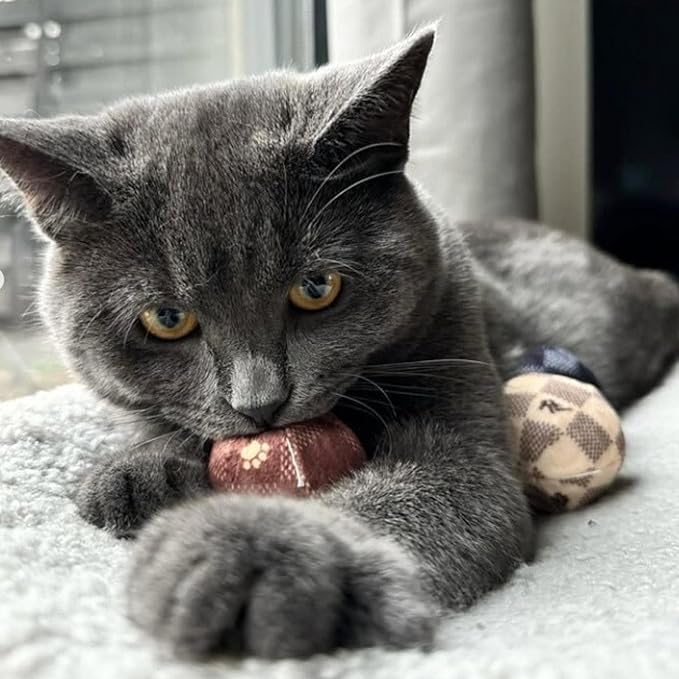 Vuiton Checker Balls + Meowbucks Catpuccino Set, Plush Cat Toys Catnip Filled with Interactive Crackle Sound, Safe & Durable Toys for Cat & Kitten, 5 Pcs