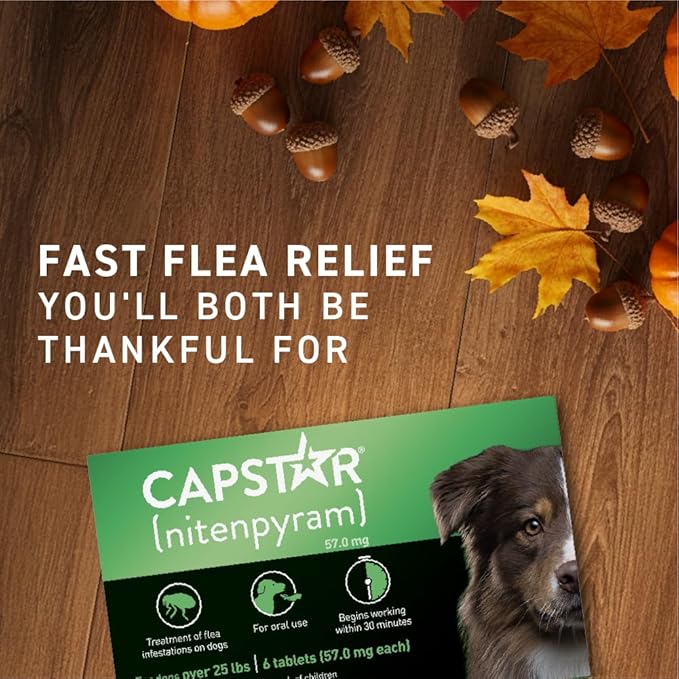 Capstar for Dogs (nitenpyram), Fast-Acting Oral Flea Treatment for Dogs Over 25+ lbs, Vet-Recommended Flea Medication Tablets Start Killing in 30 Minutes, 6 Doses