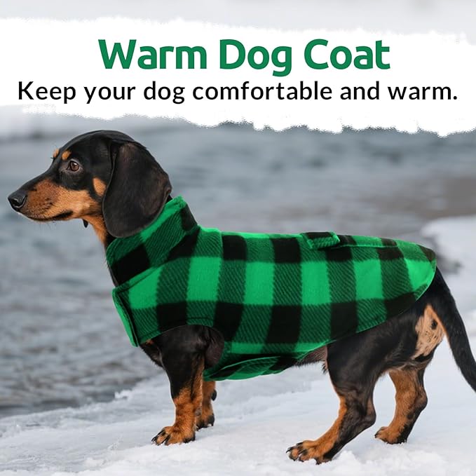 ASENKU Dog Winter Coat, Fleece Doggie Jacket Plaid Reversible Vest Waterproof Windproof Cold Weather Clothes for Small Medium Large Dogs (XS, Green)