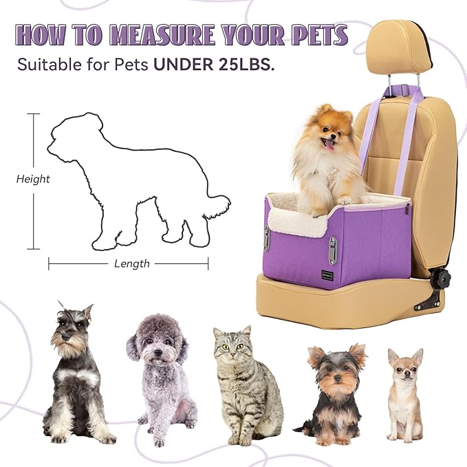 PETSFIT Small Dog Car Seat – Patented Safety Buckles – Safety Tether – Foldable Travel Dog Booster Car Seat Reduces Anxiety & Road Trips – Stable Frame, Soft Cushion, Fits Front/Back Seat (Purple)