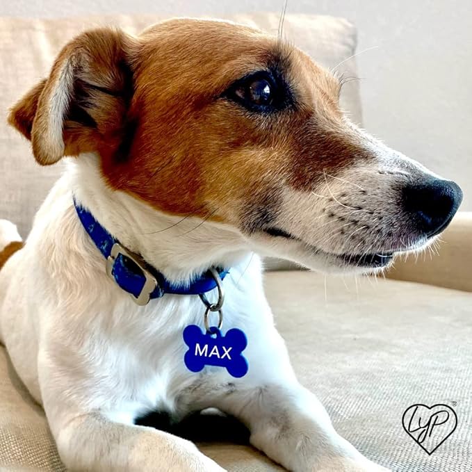 Love Your Pets Classic Aluminum Pet ID Tags - 2 Sided Deep Engraved, Made in USA - Personalized Dog, Cat & Pet Tags