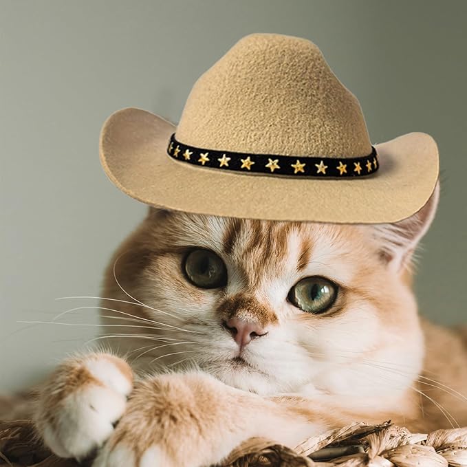Dog Cowboy Hat Cat Cowboy Hat Pet Cowboy Costume Mini Cowboy Hat for Dogs Cat Holiday Halloween Pet Party Decoration (Khaki, Large)
