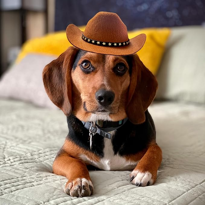 Dog Cowboy Hat Cat Cowboy Hat Pet Cowboy Costume Mini Cowboy Hat for Dogs Cat Holiday Halloween Pet Party Decoration (Brown, Large)